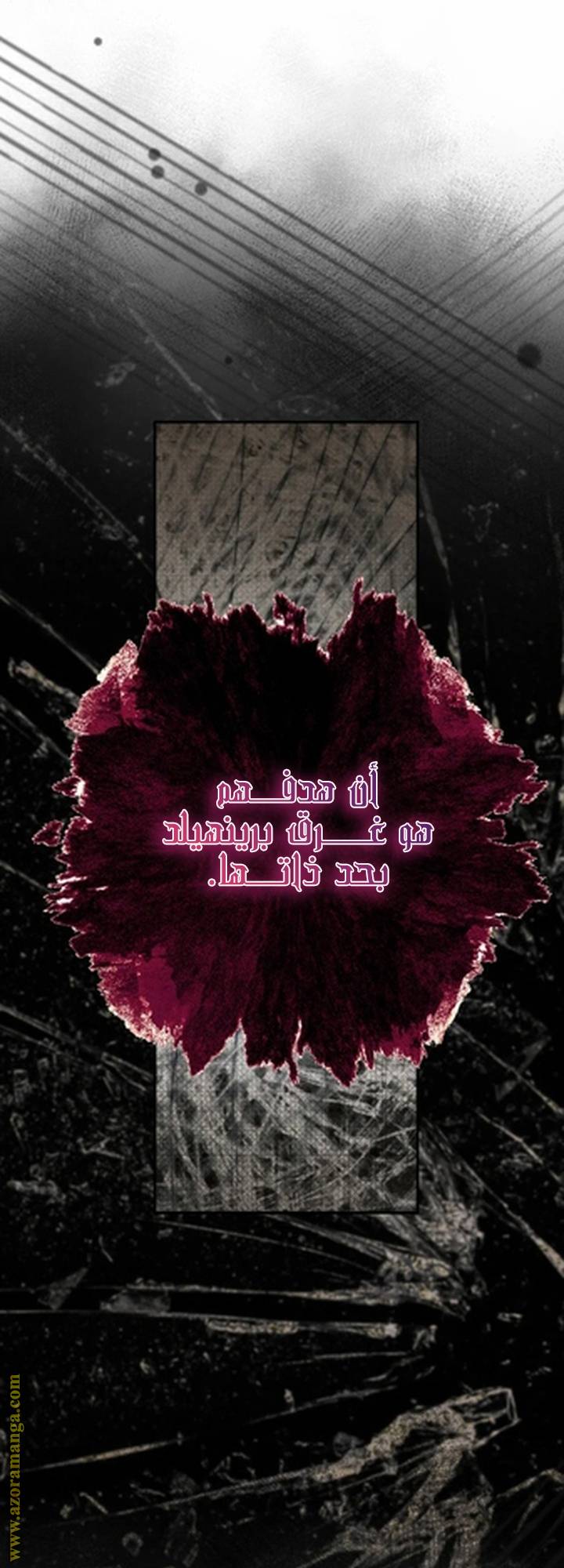 الصفحة 52