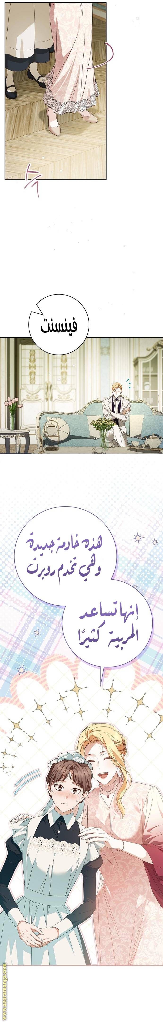 الصفحة 17