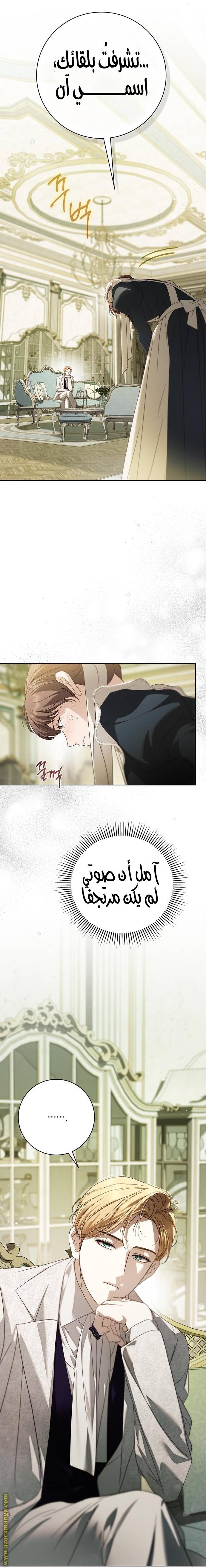 الصفحة 19