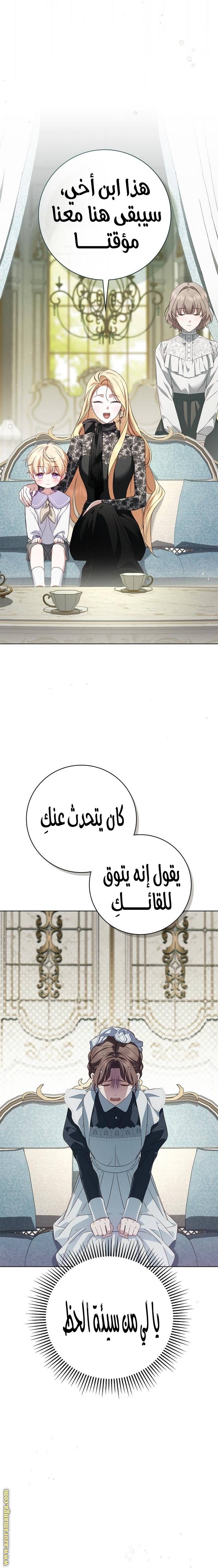 الصفحة 25