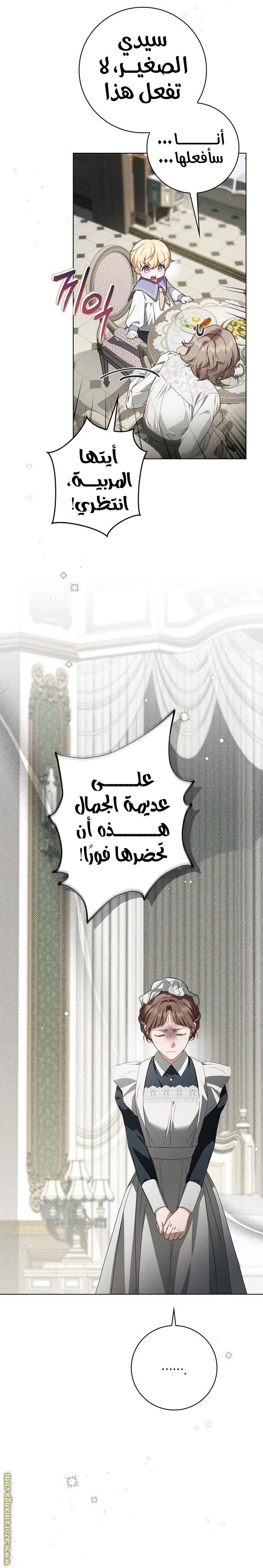 الصفحة 31