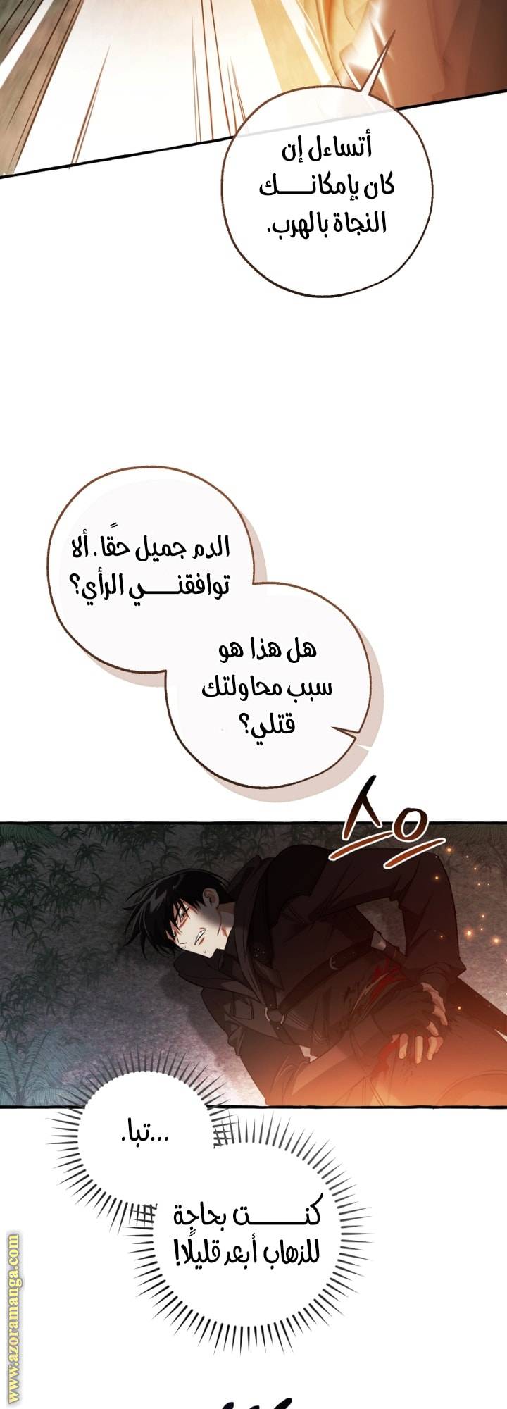 الصفحة 31