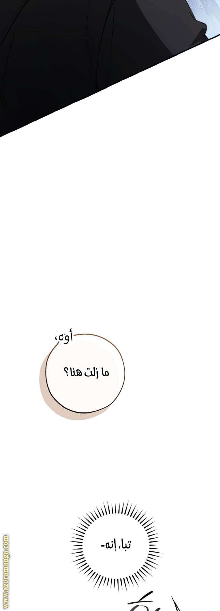 الصفحة 35