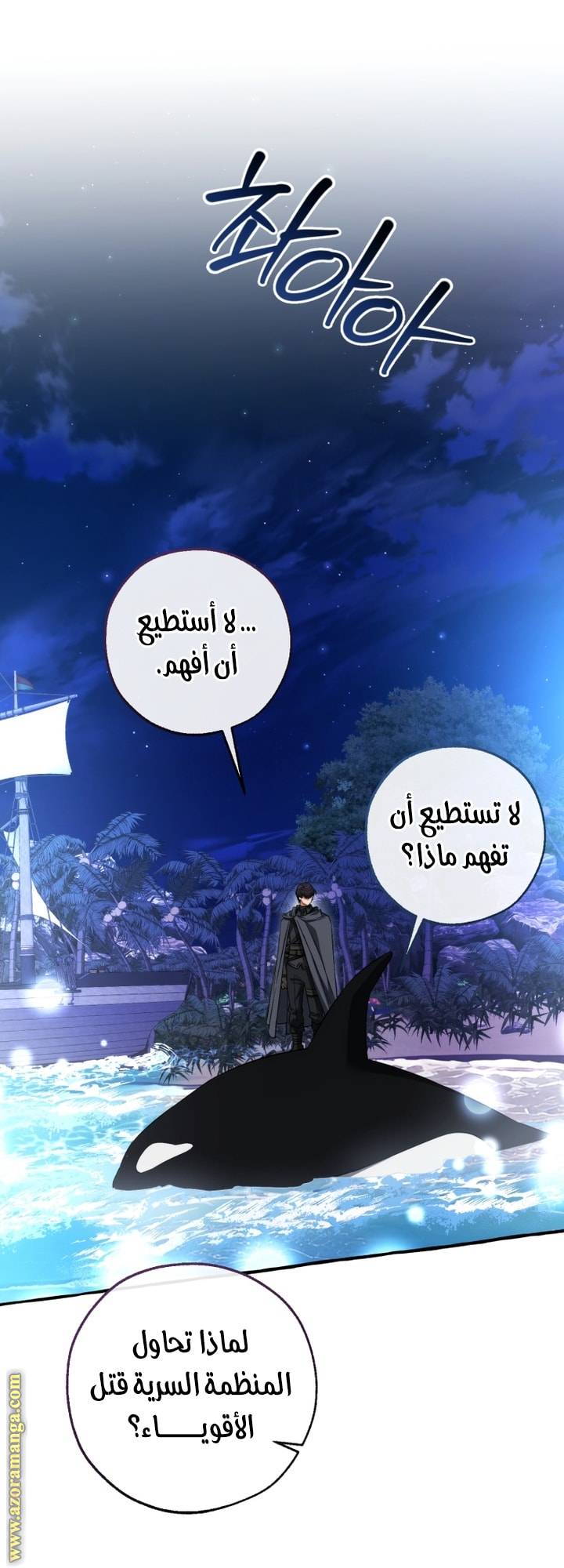 الصفحة 41