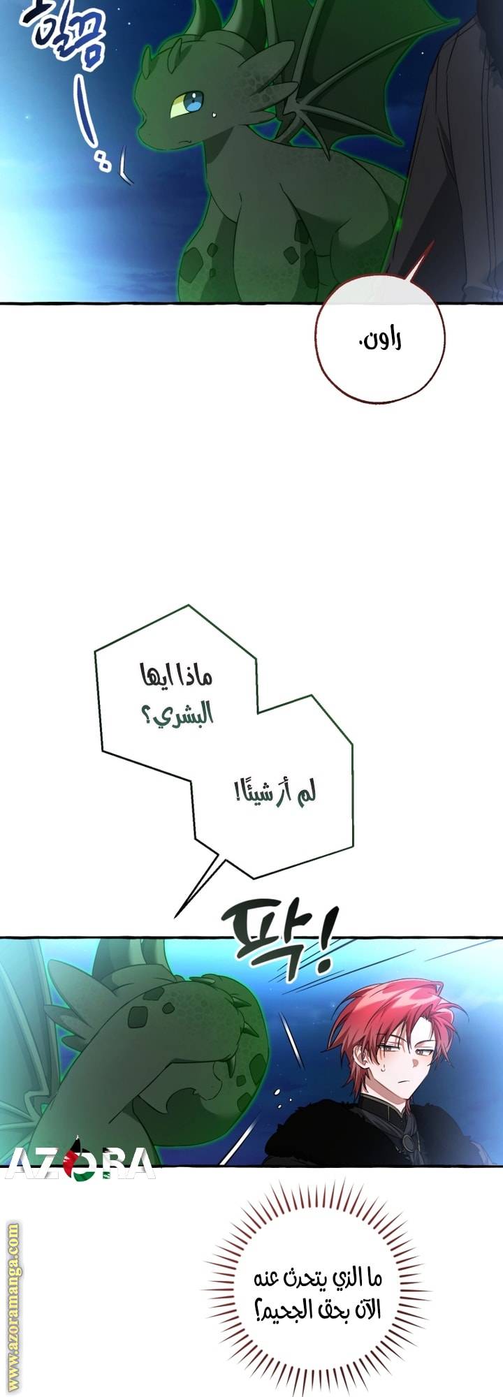 الصفحة 47