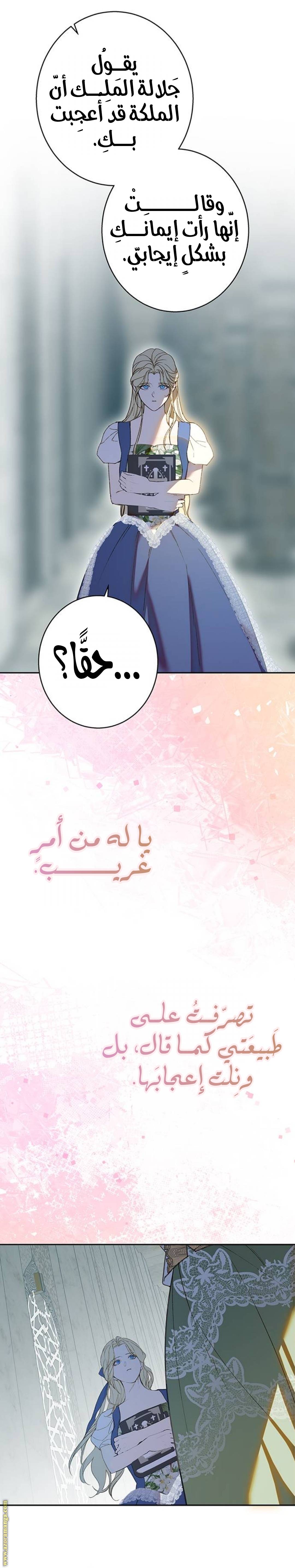 الصفحة 17