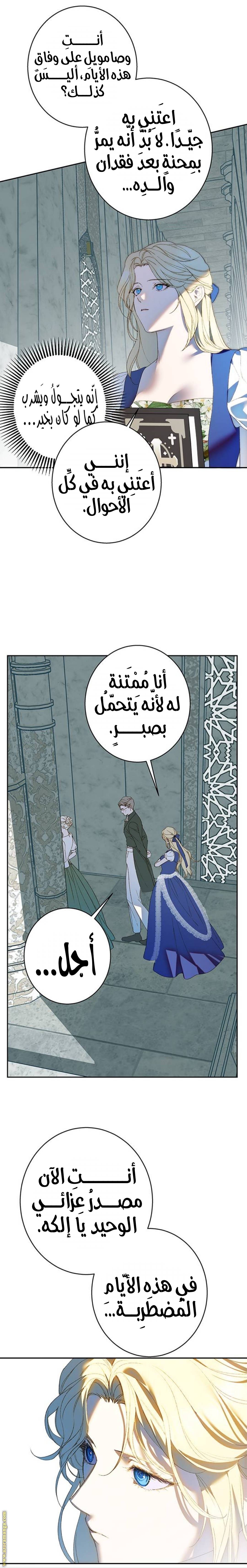 الصفحة 19
