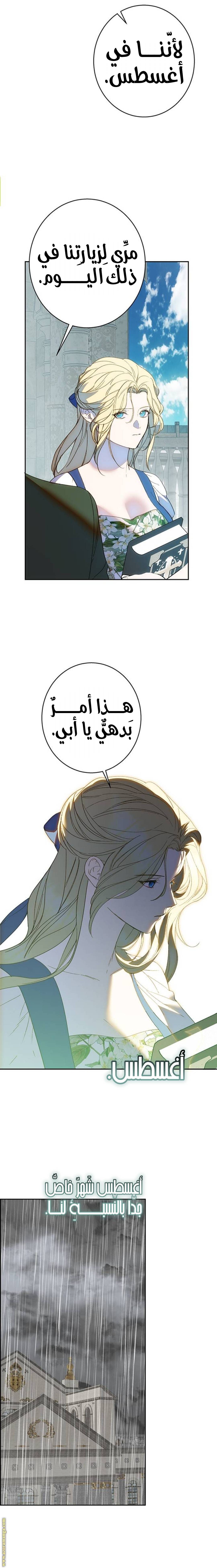 الصفحة 21
