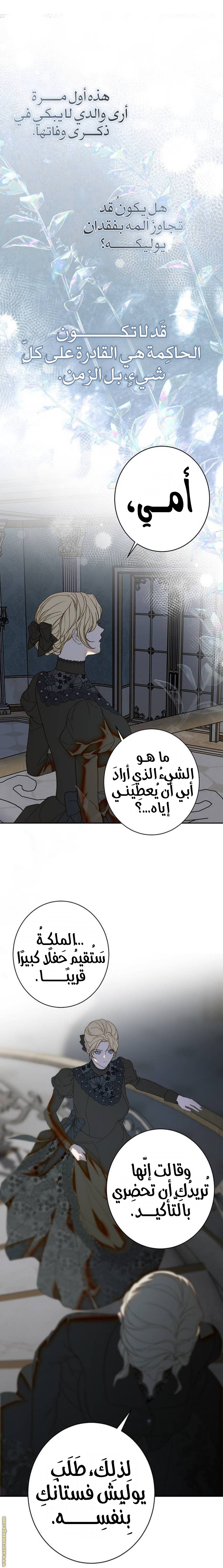 الصفحة 13