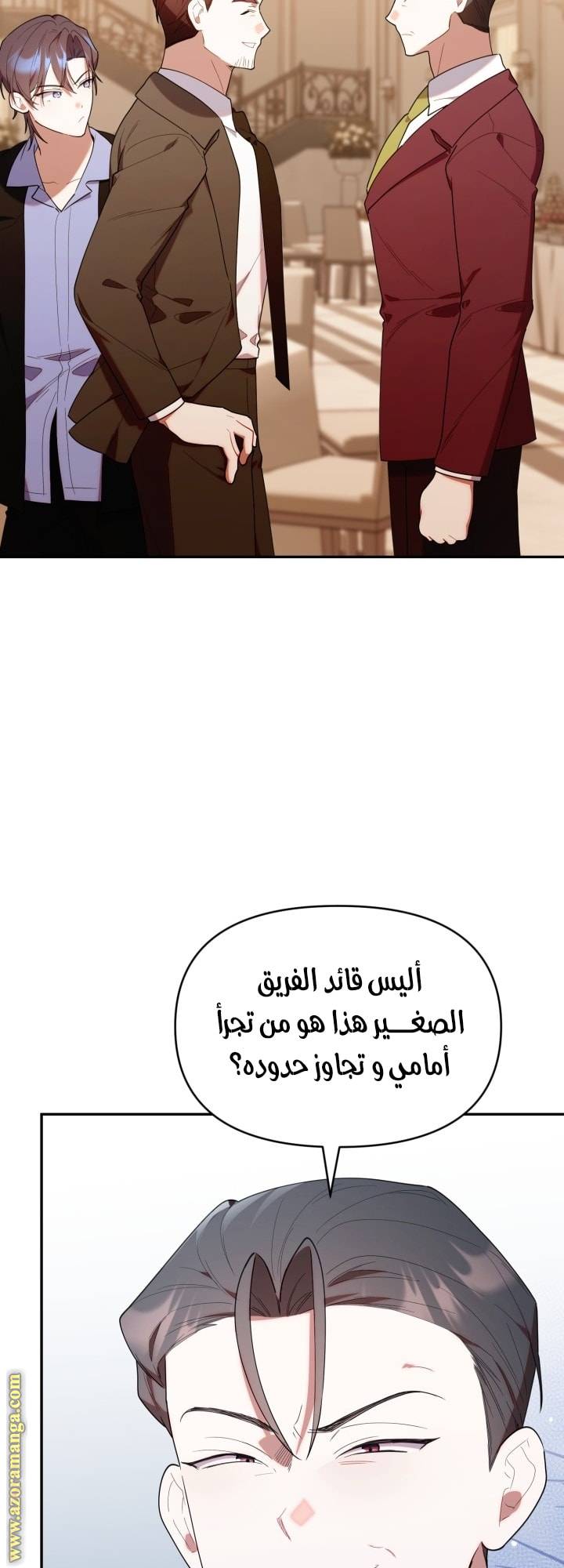 الصفحة 42