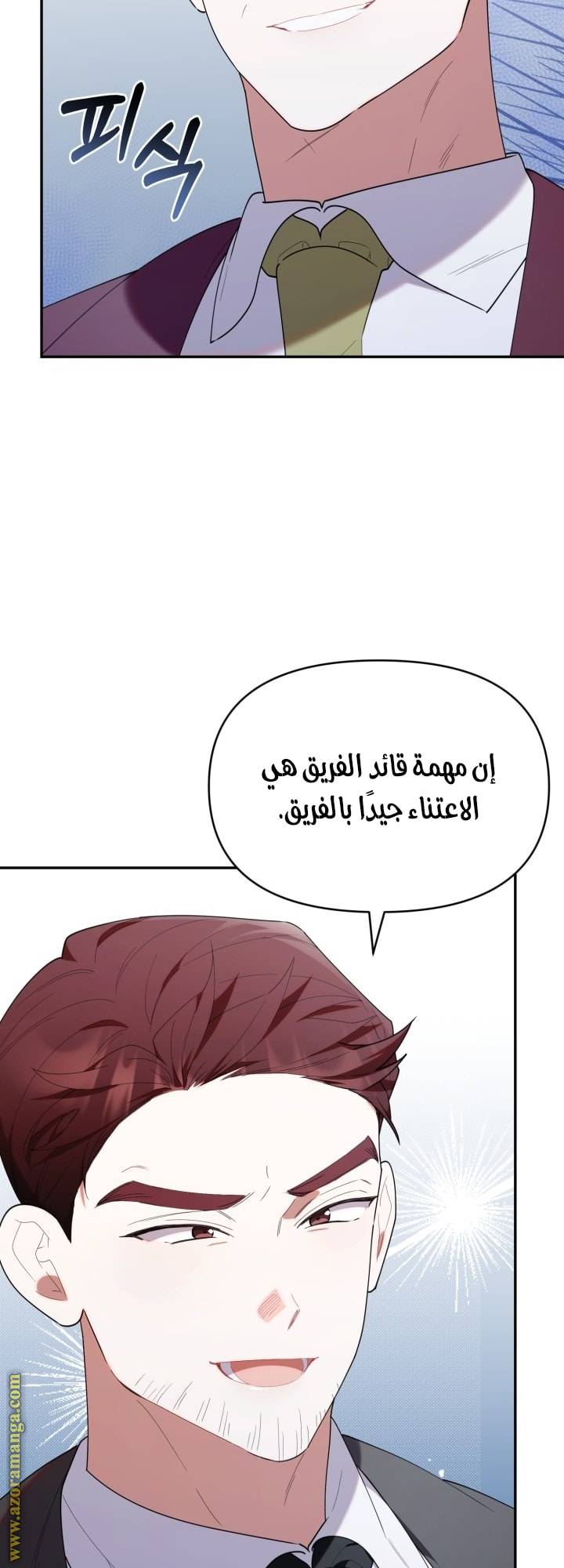 الصفحة 43