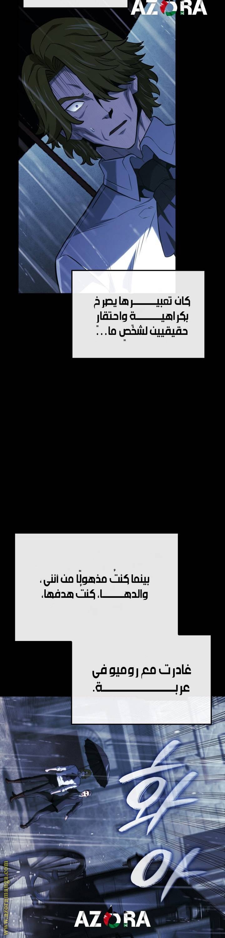 الصفحة 17
