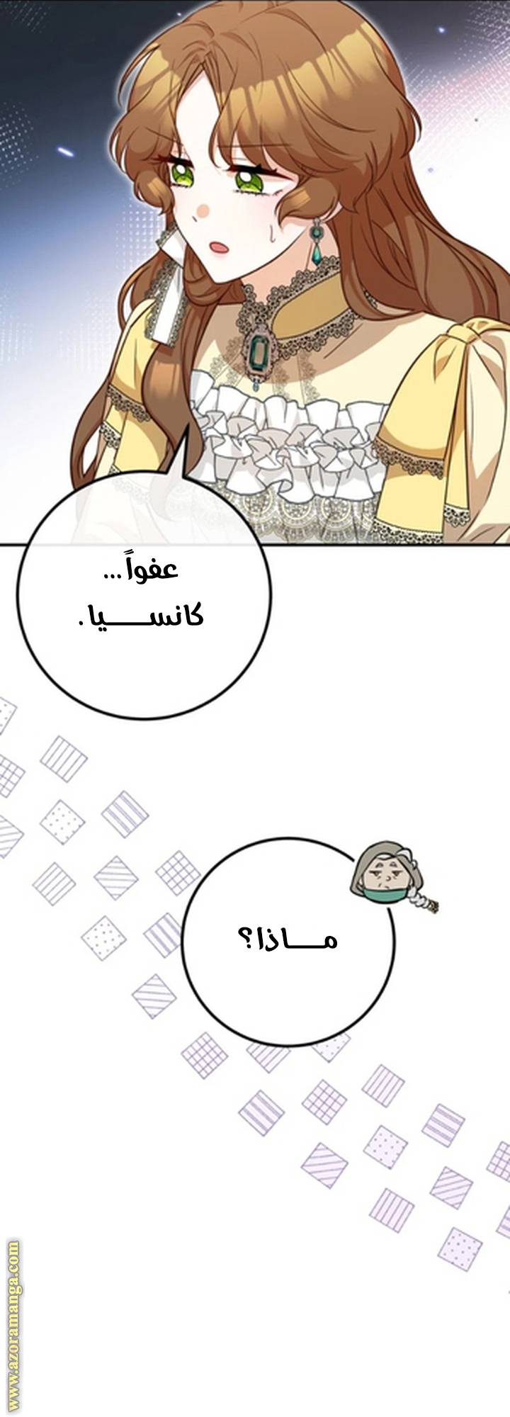 الصفحة 14