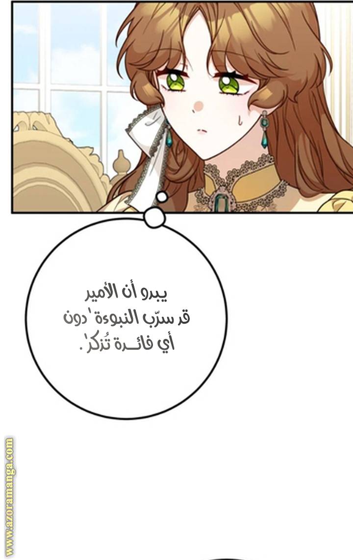 الصفحة 27
