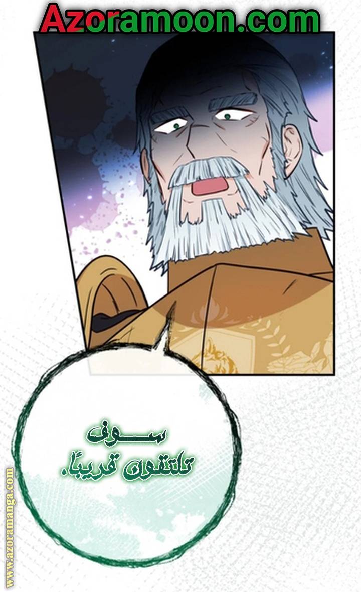 الصفحة 43
