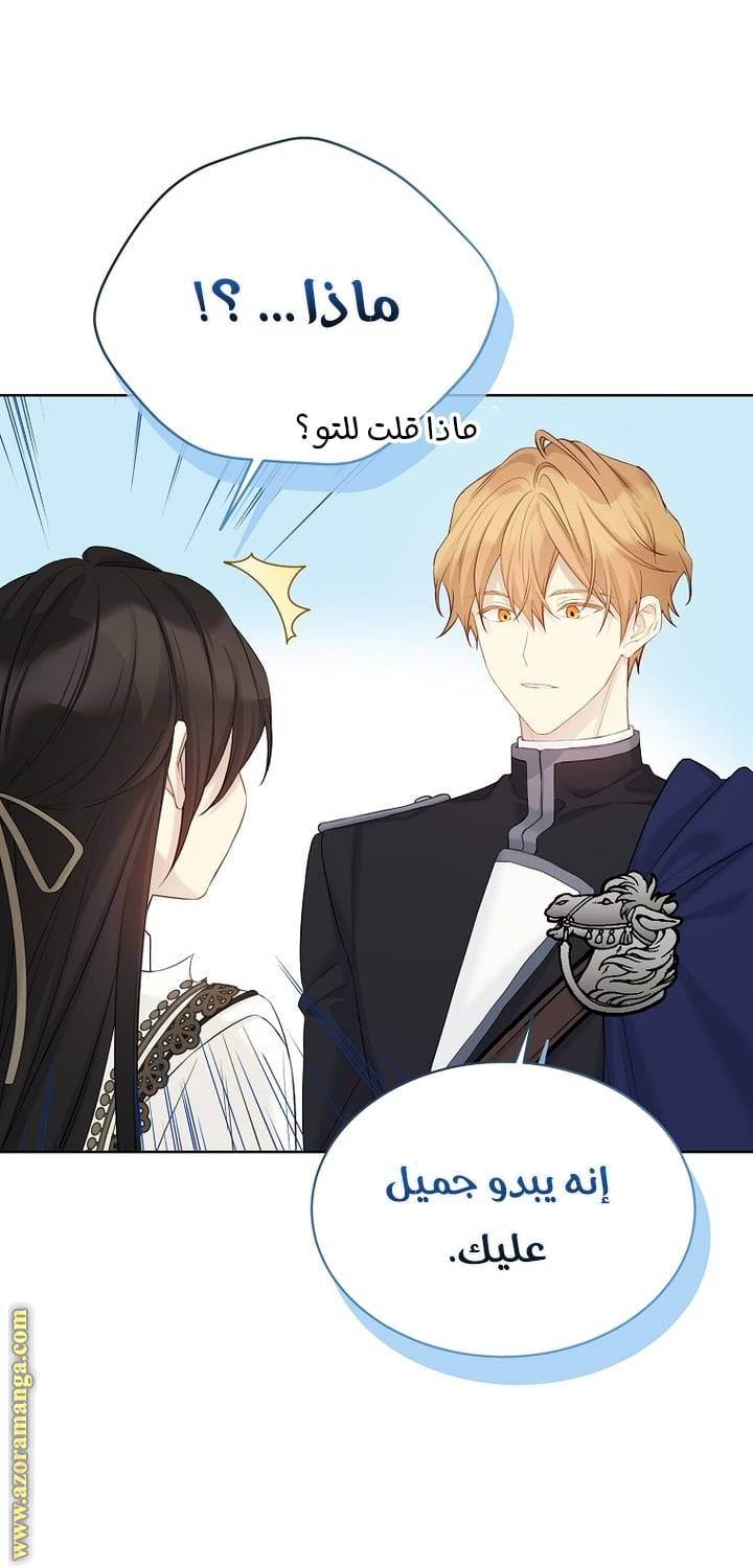 الصفحة 29
