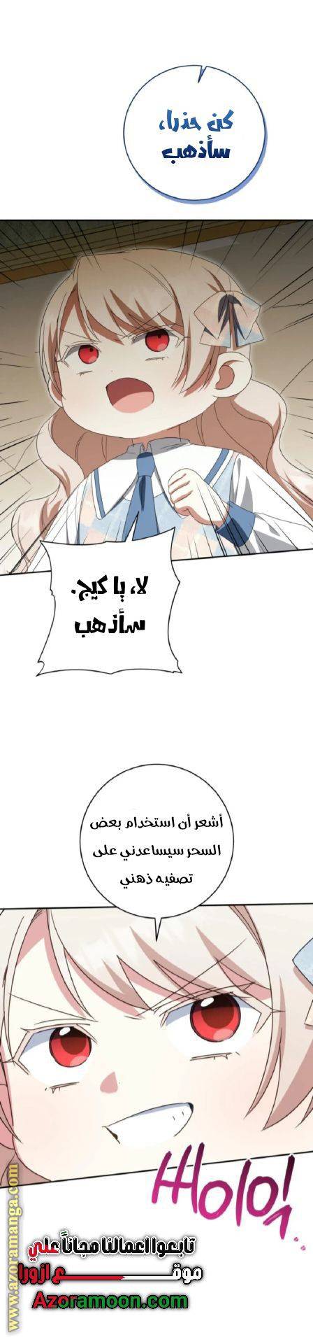 الصفحة 27