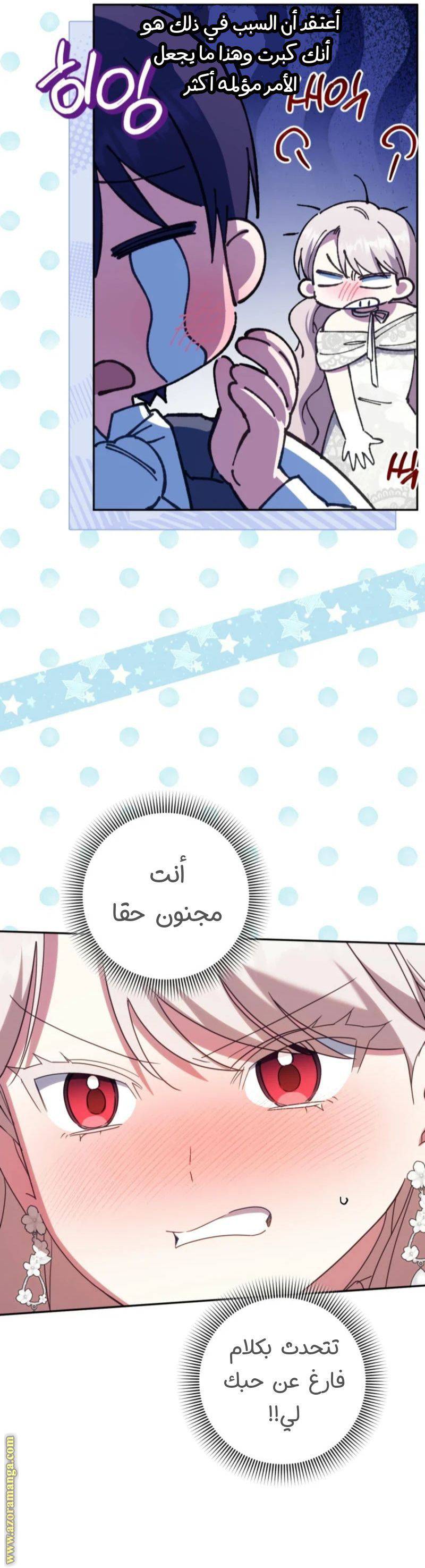 الصفحة 29