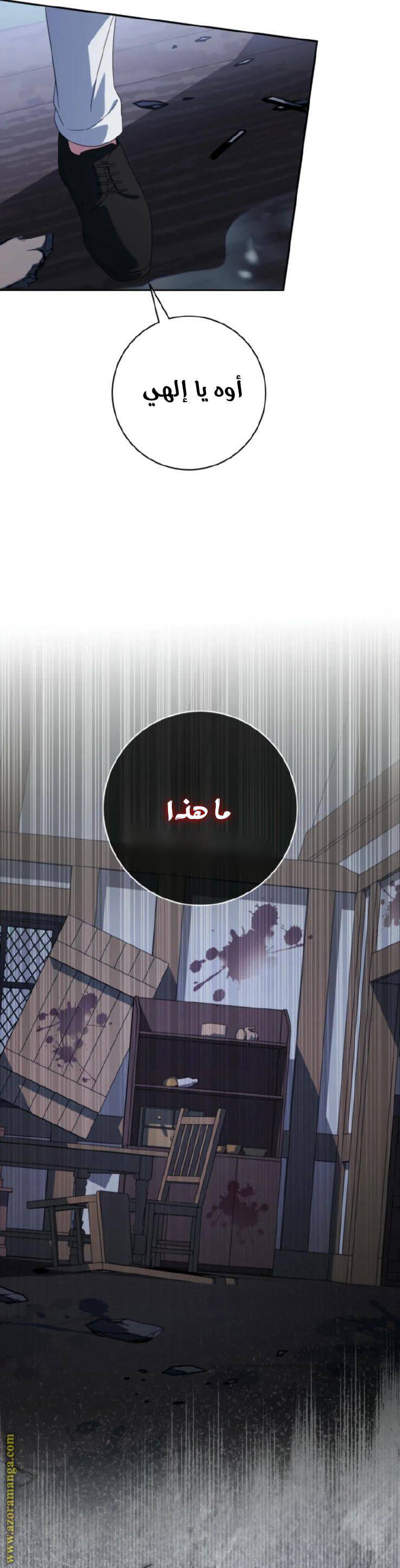 الصفحة 39