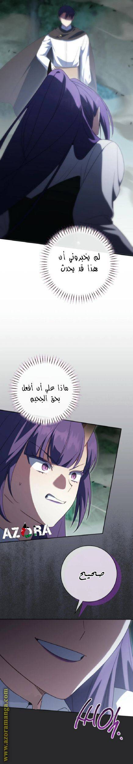 الصفحة 16