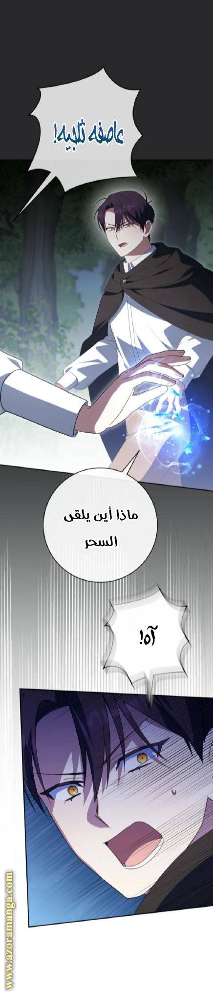 الصفحة 17