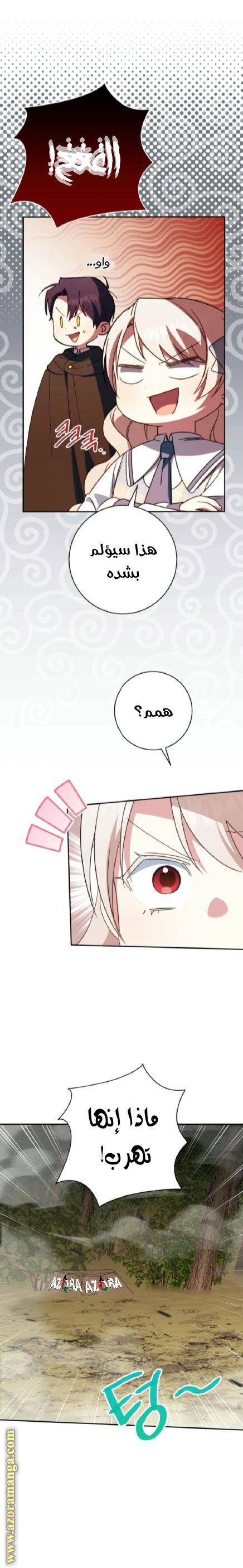 الصفحة 24