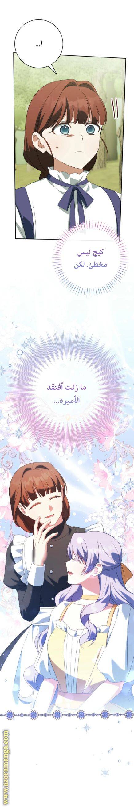 الصفحة 17