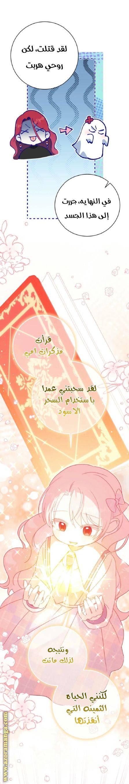 الصفحة 25