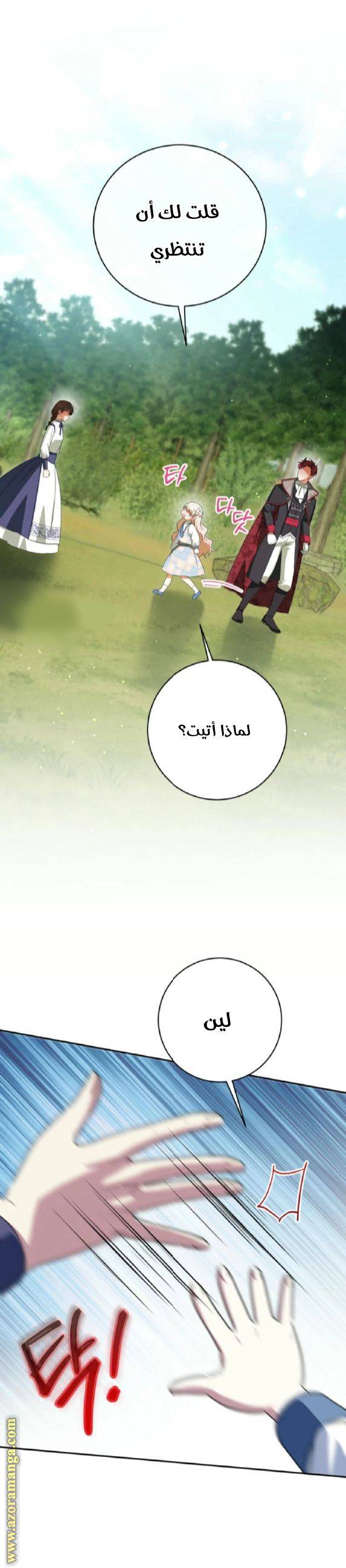 الصفحة 29