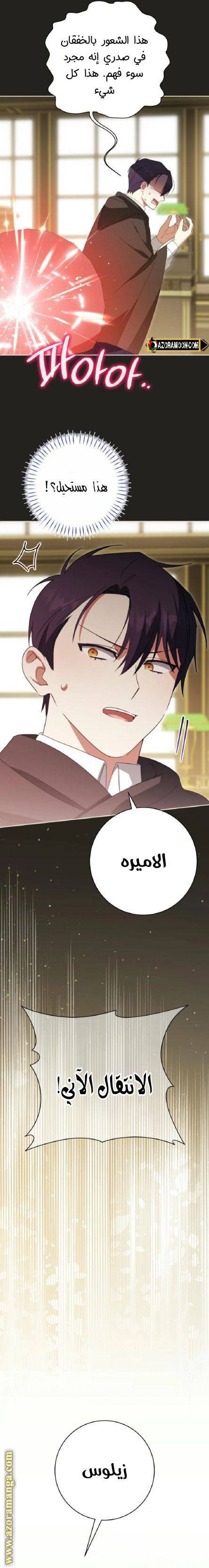 الصفحة 20