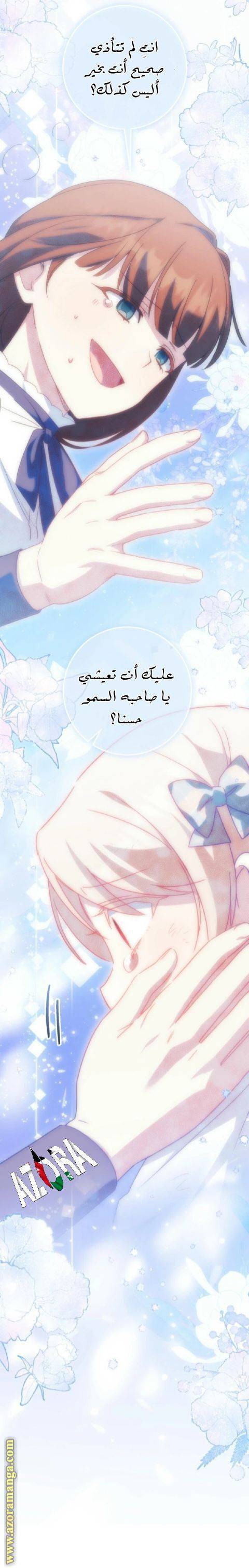 الصفحة 29