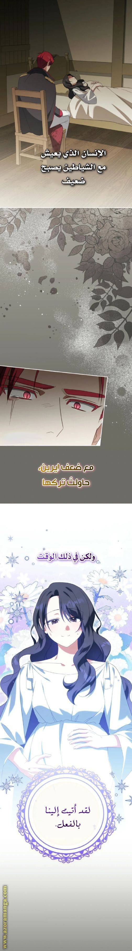 الصفحة 29