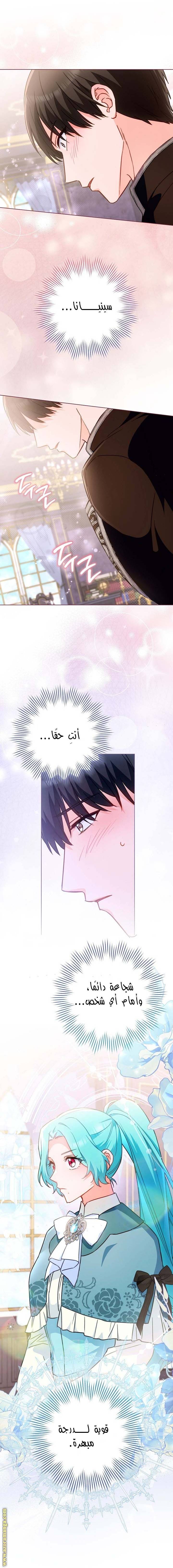الصفحة 13