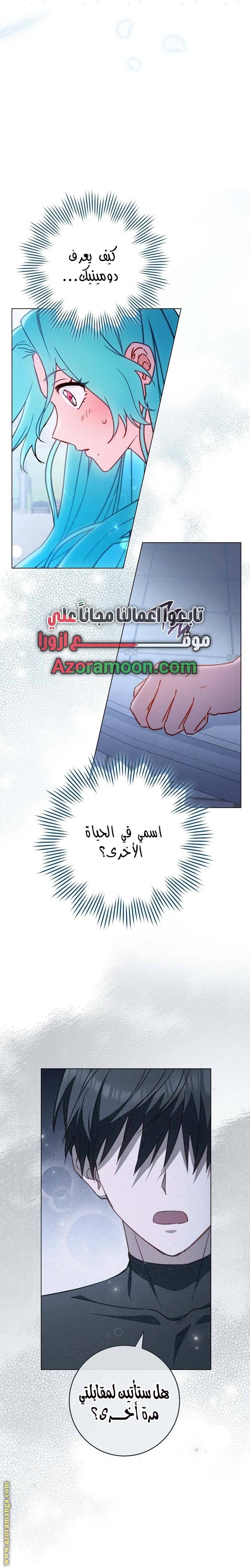 الصفحة 26