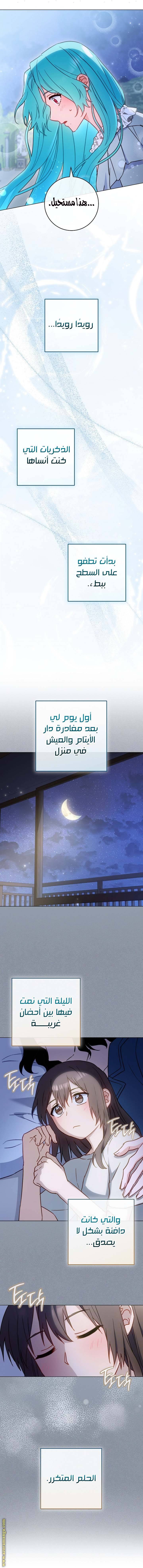 الصفحة 27