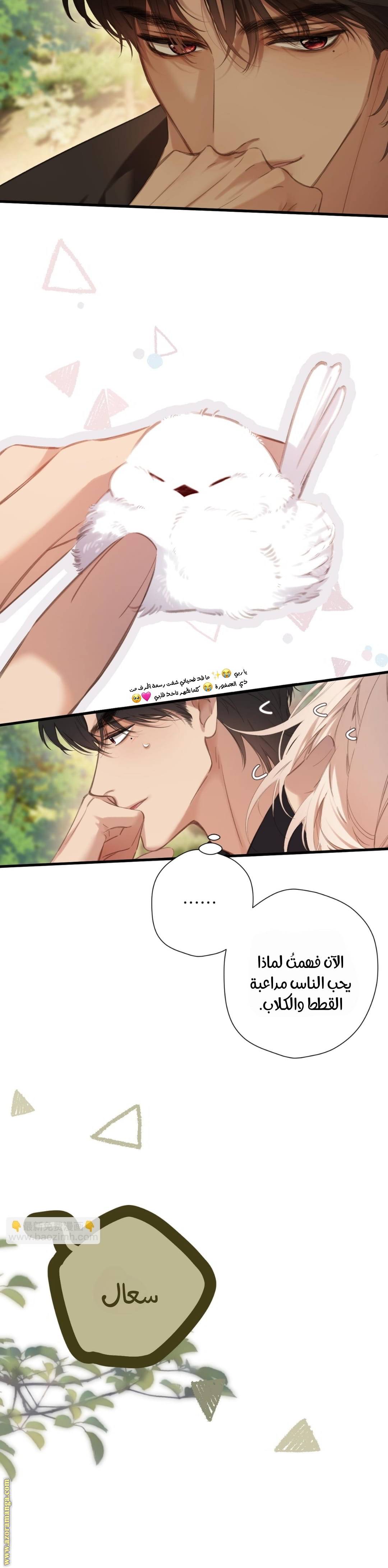 الصفحة 8