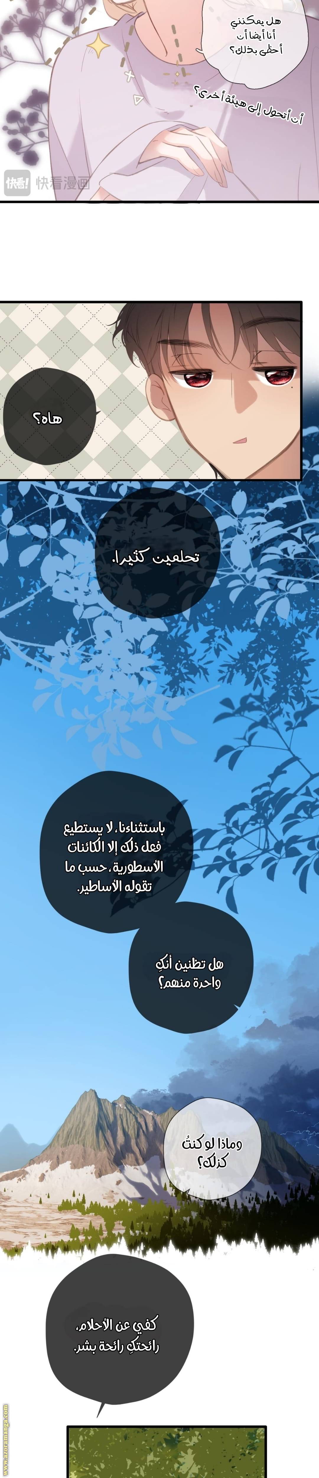 الصفحة 13