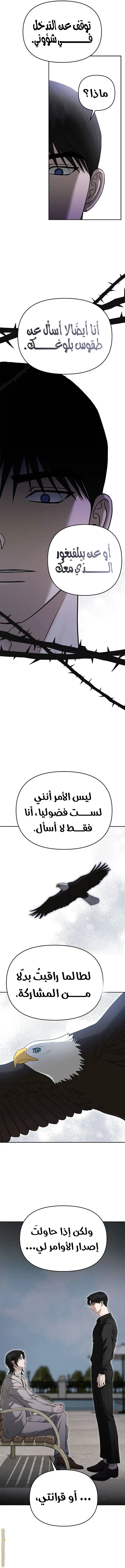 الصفحة 15