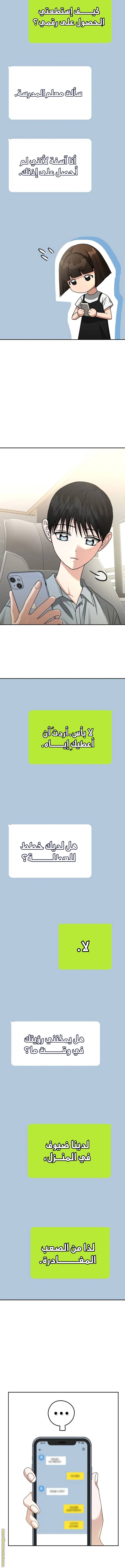 الصفحة 17