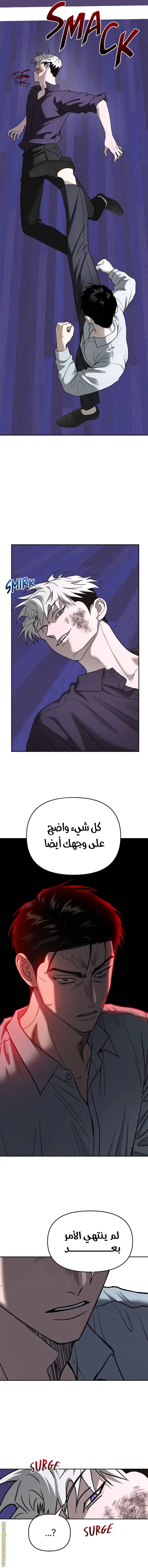 الصفحة 14