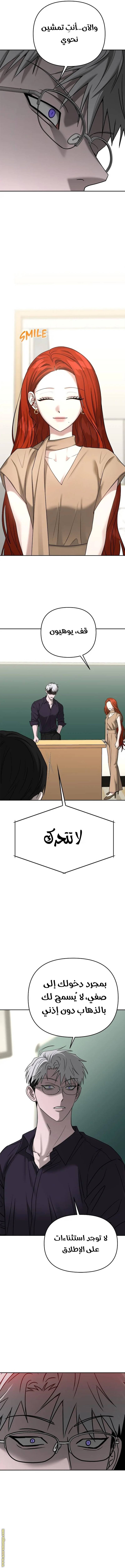 الصفحة 19