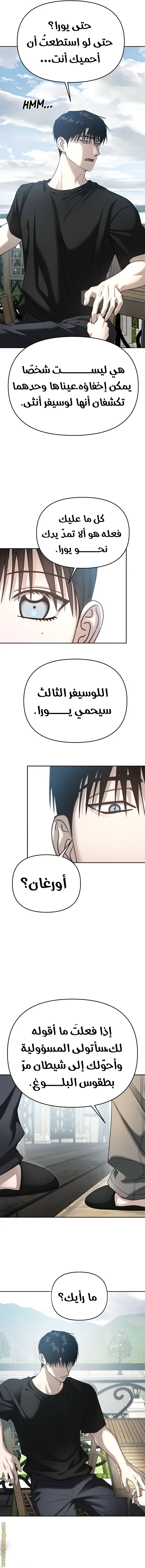 الصفحة 17