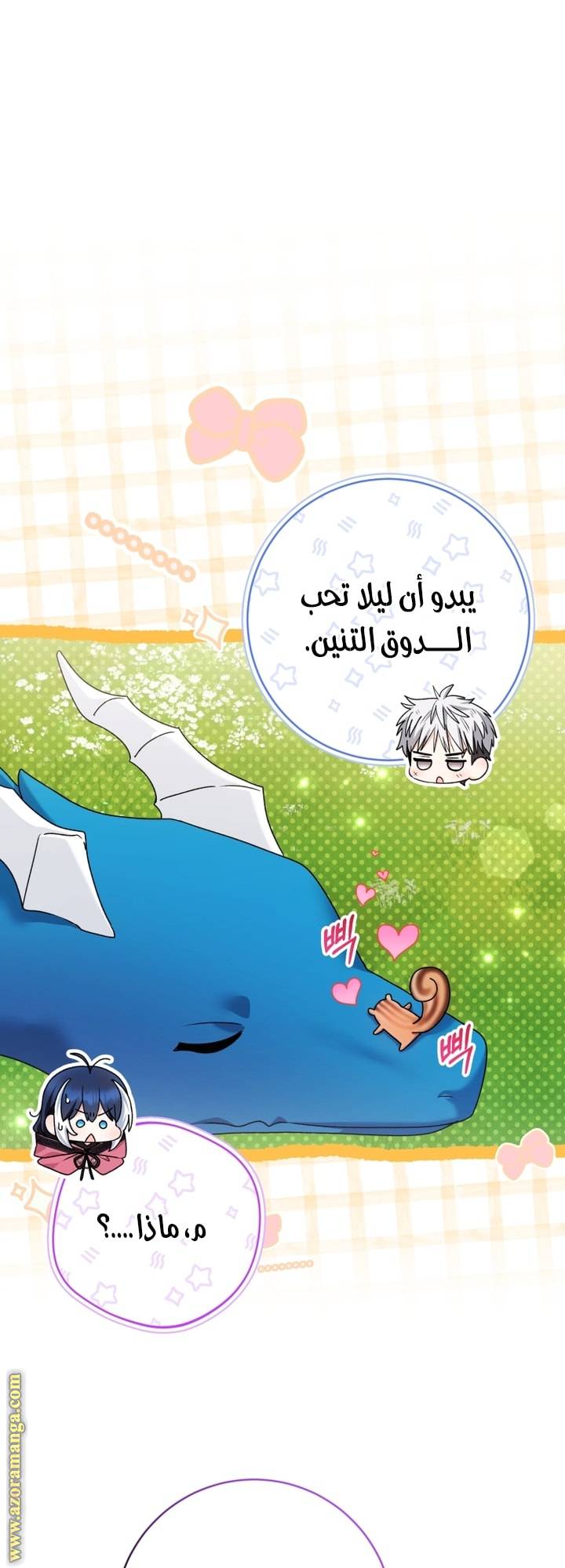 الصفحة 22