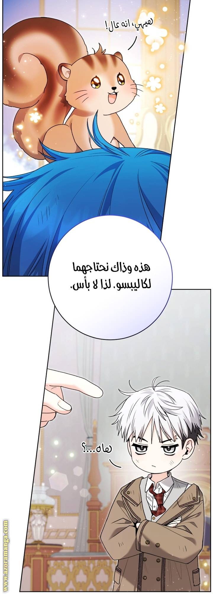 الصفحة 24
