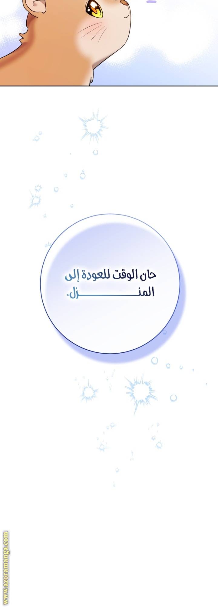 الصفحة 27