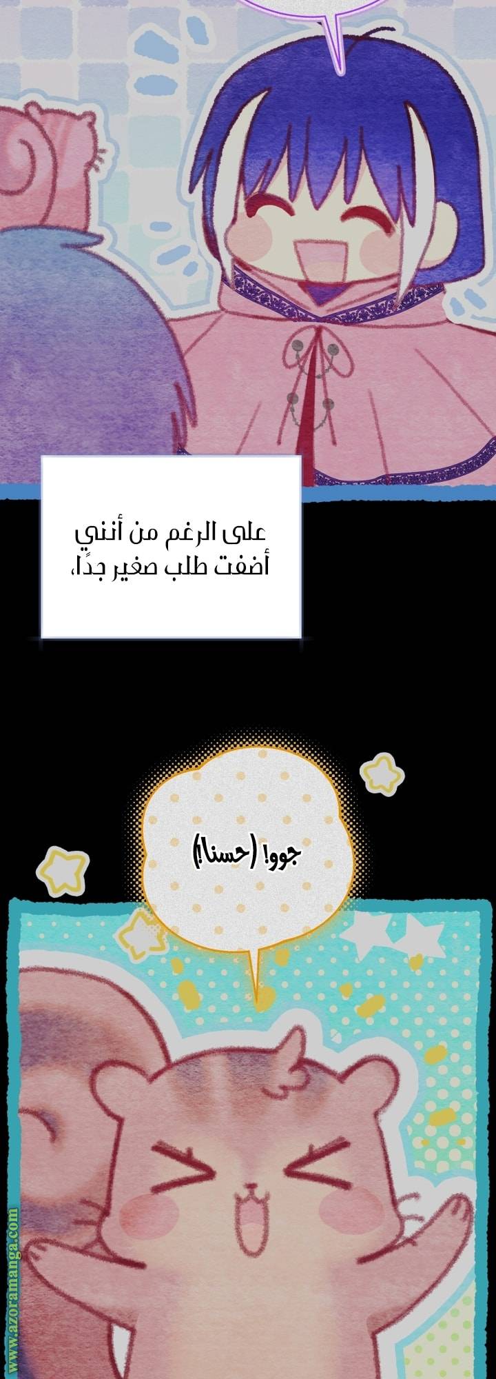 الصفحة 29