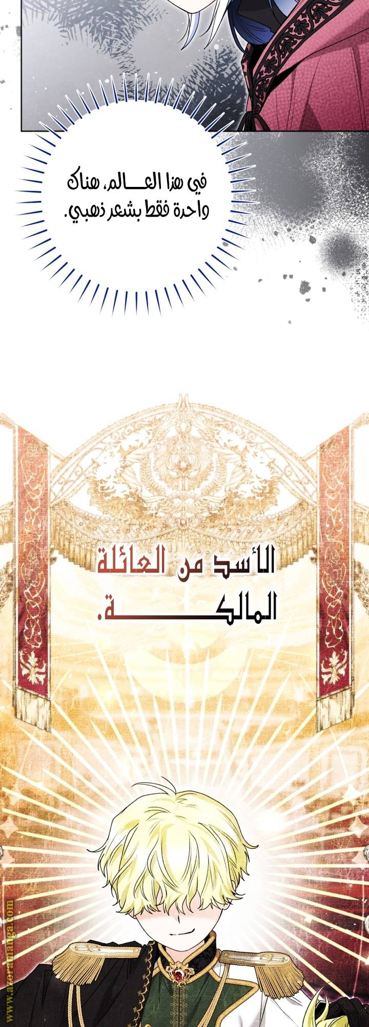 الصفحة 36