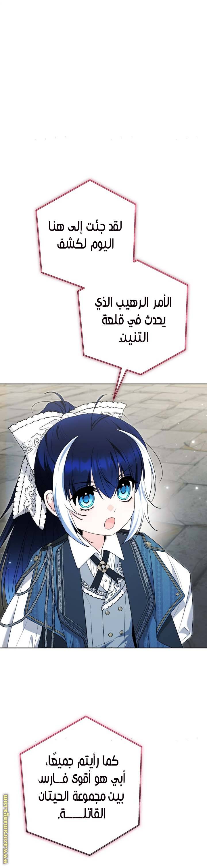 الصفحة 27