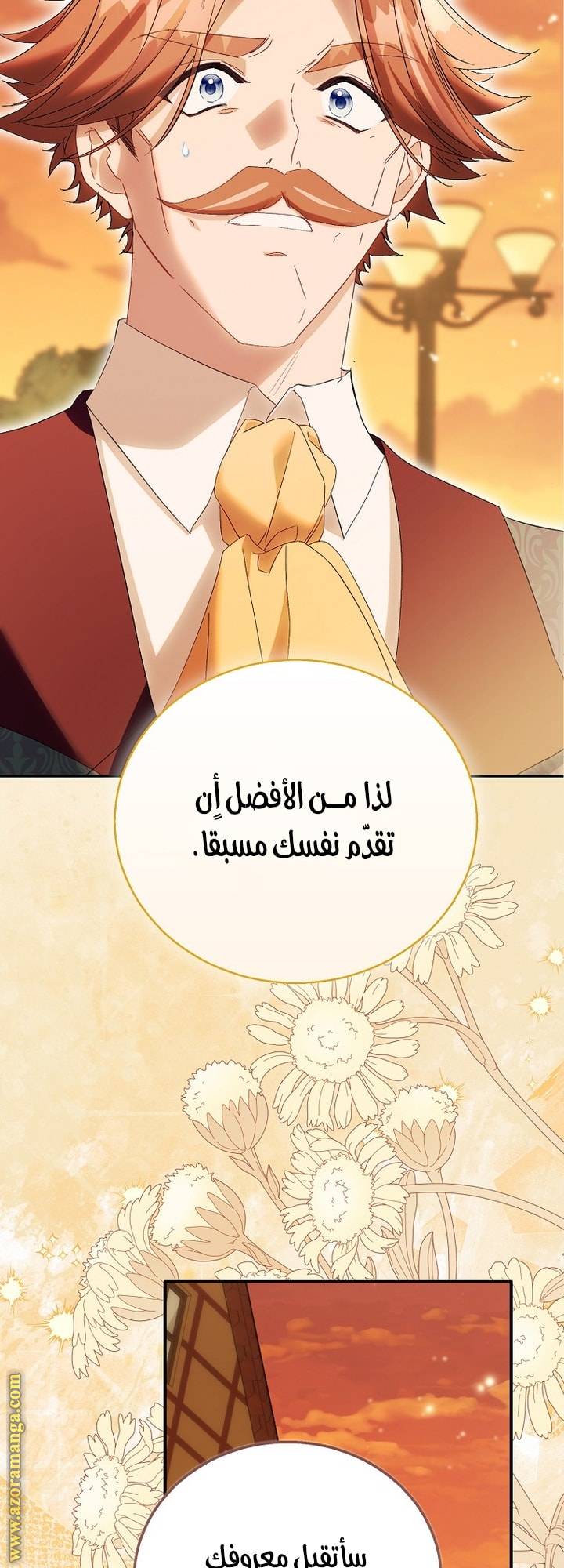 الصفحة 29