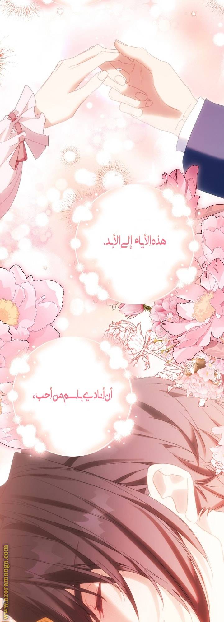 الصفحة 48